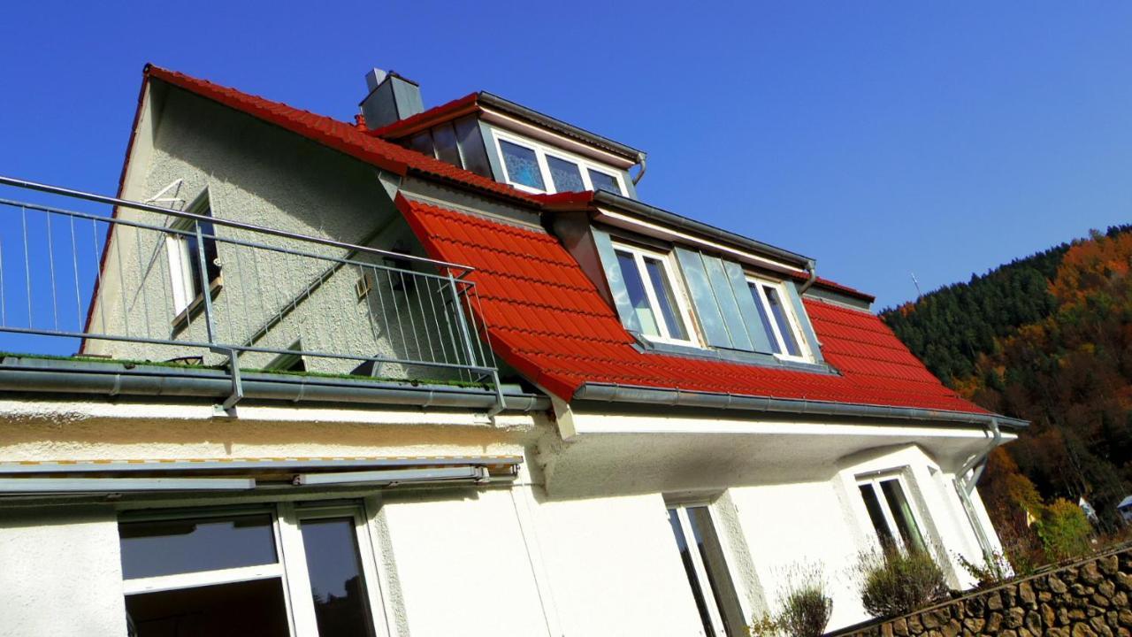 Villa Fink Schramberg Εξωτερικό φωτογραφία