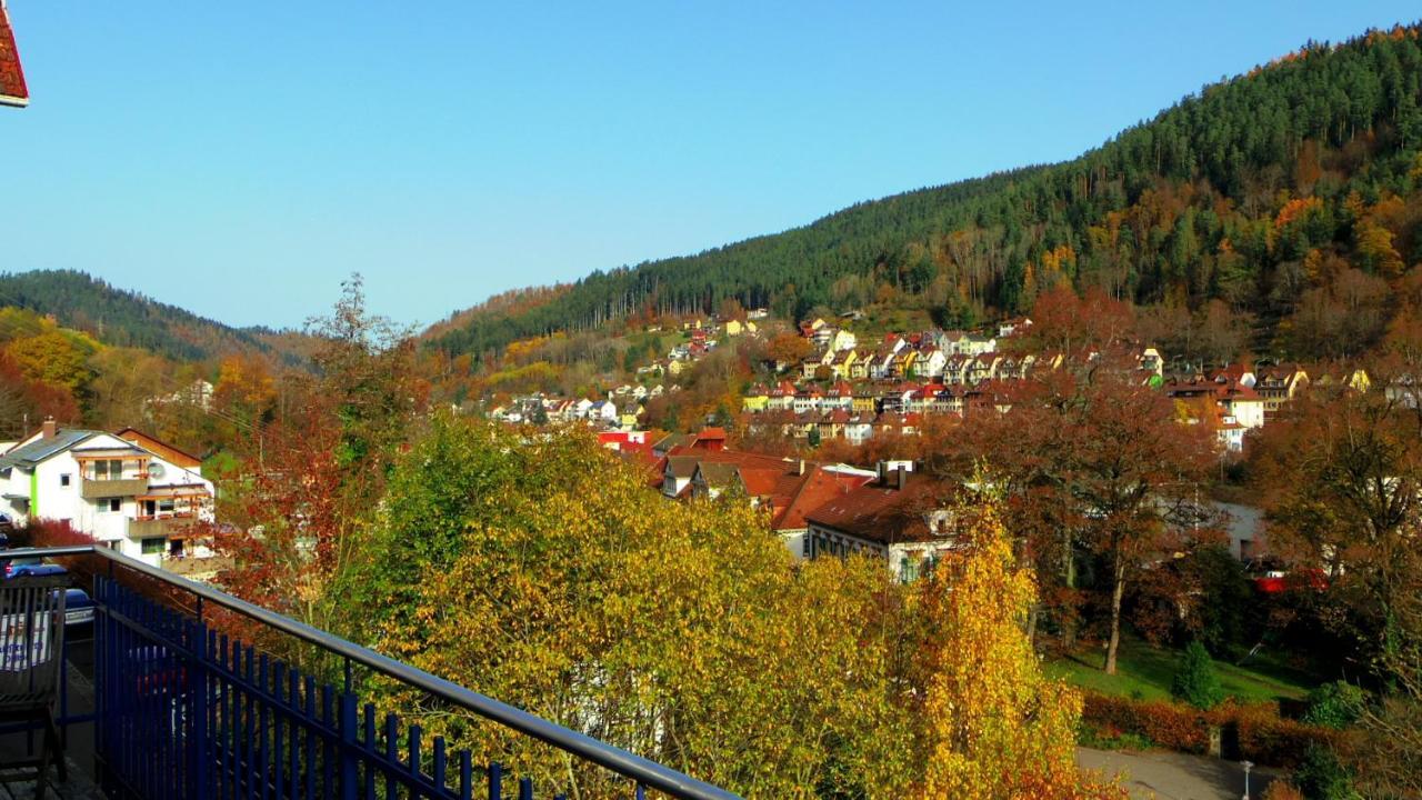 Villa Fink Schramberg Εξωτερικό φωτογραφία